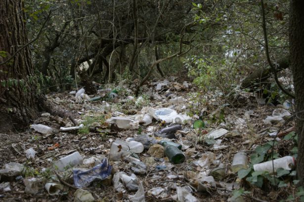 video padure transformata in groapa de gunoi la marginea unui drum national primar e regretabil dar imposibil de gestionat 681f2c17e38ac