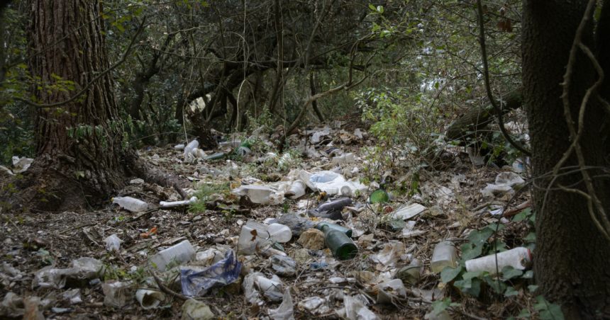 video padure transformata in groapa de gunoi la marginea unui drum national primar e regretabil dar imposibil de gestionat 681f2c17e38ac