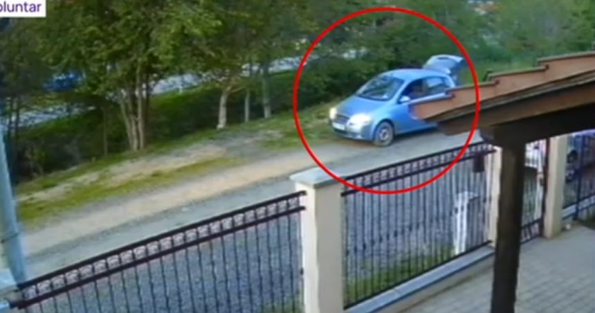 video un caine ar fi fost impuscat pe o strada de langa timisoara un barbat a fost surprins pe camera de supraveghere 681c71a7ce09d