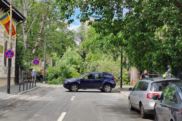 video un copac a cazut pe o strada din centrul bucurestiului doua masini avariate circulatia in zona este blocata 6835b7982ca2f
