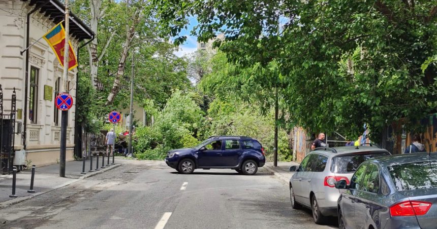 video un copac a cazut pe o strada din centrul bucurestiului doua masini avariate circulatia in zona este blocata 6835b7982ca2f