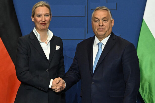 video viktor orban elogiat de sefa extremistilor germani alice weidel l a numit pe premierul ungar un far al libertatii 6839e6753480b