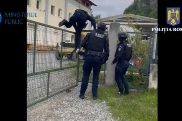 video zeci de perchezitii in maramures in dosare de contrabanda braconaj uz de arma fara drept purtare abuziva 682edd4aacaf7