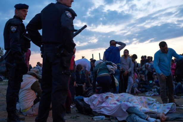 bloomberg sua vor sa expulzeze migranti in serbia si in alte state din balcani 68418b81a85a9