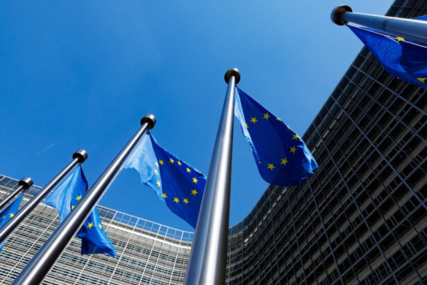 comisia europeana a exclus intreprinderile chineze de la achizitiile publice ale ue de dispozitive medicale 68550d7a4c7a9