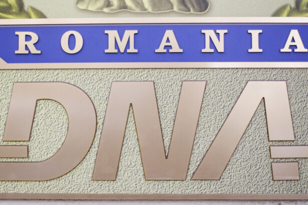 conferinta privind mituirea functionarilor publici straini organizata de dna a fost discutat cazul mitei de la baza kogalniceanu 68495e7705cd0