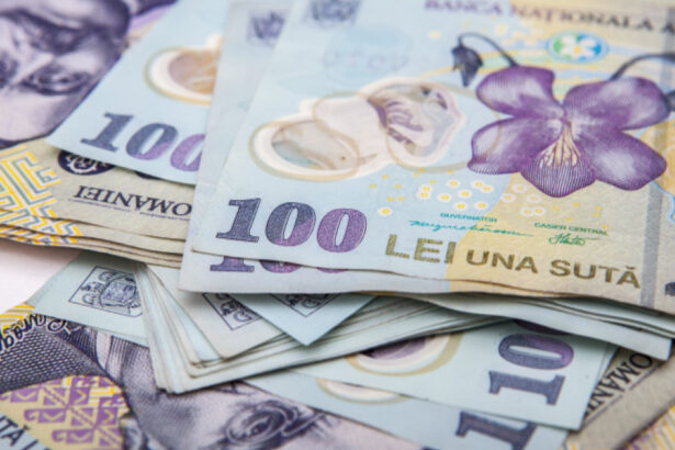 controale la transelectrica si romsilva curtea de conturi a descoperit prime ilegale si salarii care au depasit bugetul alocat 6852b27a0bd62