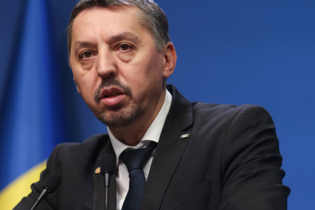 daniel david programul de guvernare nu este de austeritate cercetarea nu va suferi disponibilizari sau reduceri salariale 685bddc91ab98
