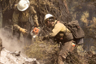 doi morti si un ranit in sua dupa ce pompierii care interveneau la un incendiu de vegetatie au fost atacati in statul idaho 68621709b125c