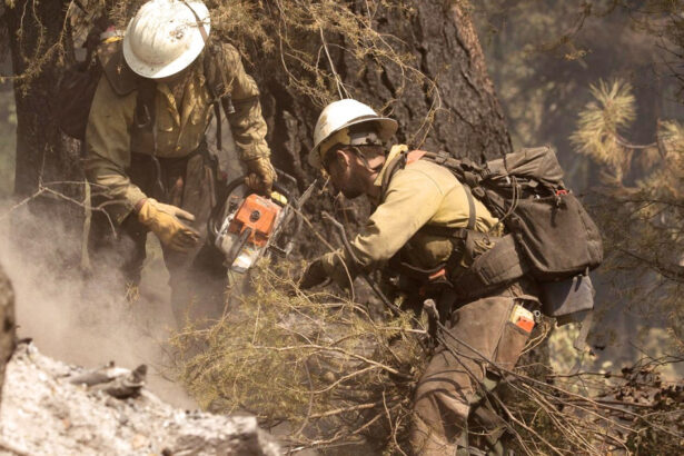 doi morti si un ranit in sua dupa ce pompierii care interveneau la un incendiu de vegetatie au fost atacati in statul idaho 68621709b125c