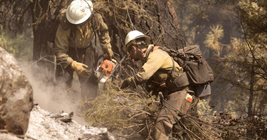 doi morti si un ranit in sua dupa ce pompierii care interveneau la un incendiu de vegetatie au fost atacati in statul idaho 68621709b125c