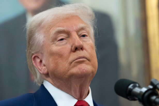 donald trump va participa la summitul nato de la haga la finalul lunii iunie anuntul facut de casa alba 683f557b5ba09