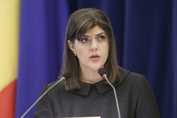 exclusiv laura codruta kovesi subliniaza ca frauda cu tva ne afecteaza pe toti banii ies din bugetul cetatenilor exemple concrete 684c47993dfd8