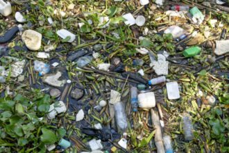 garda de mediu a controlat aproape toate localitatile din tara gradul de reciclare a deseurilor a scazut in loc sa creasca 6853a645d8571