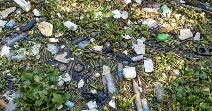 garda de mediu a controlat aproape toate localitatile din tara gradul de reciclare a deseurilor a scazut in loc sa creasca 6853a645d8571