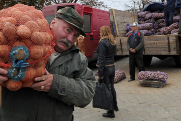 mafia cartofilor starneste furie in belarus cum a declansat lukasenko o criza agricola de care profita rusia 685e193a76613