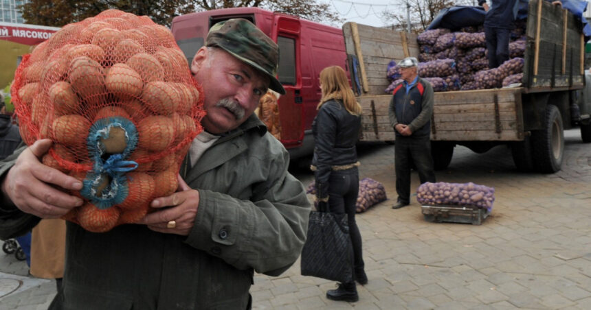 mafia cartofilor starneste furie in belarus cum a declansat lukasenko o criza agricola de care profita rusia 685e193a76613