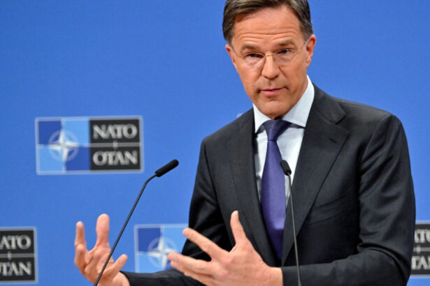 mark rutte aderarea ucrainei la nato ramane ireversibila chiar daca nu apare in comunicatul summitului de la haga 6848199ead531