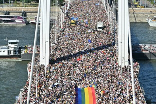 nicu stefanuta dupa participarea record la pride in budapesta o catastrofa pentru viktor orban si o lectie pentru cei de la noi 68617c4ec0db2