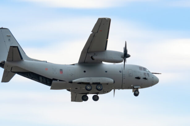 nicusor dan s a dus la vilnius cu un avion spartan al fortelor aeriene romane ce aeronave folosesc celelalte delegatii 683d672969cbe