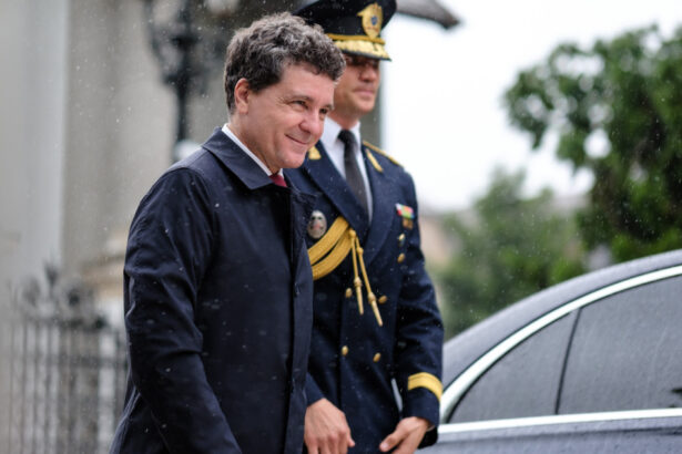 nicusor dan va merge in vizita oficiala in republica moldova unde se va intalni cu maia sandu ce include programul presedintelui 6845e17dd51af