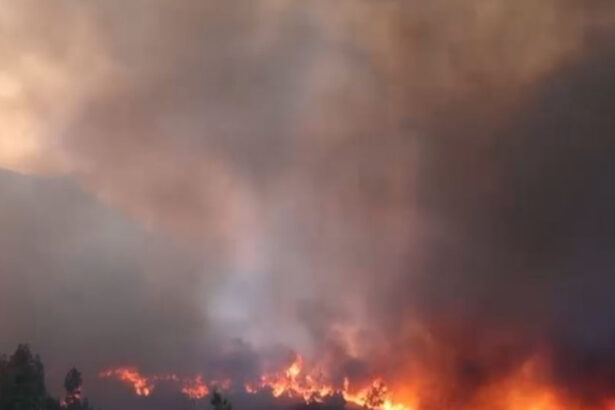 o menajera este acuzata ca a provocat unul dintre incendiile devastatoare din insula greceasca chios 685ce86dad038