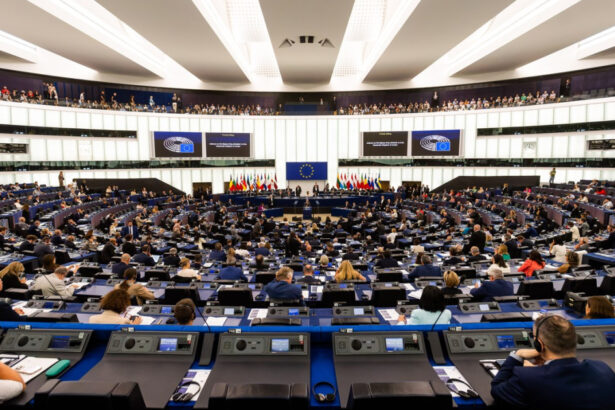 parlamentul european a decis ca abuzurile sexuale impotriva minorilor sa nu se prescrie 685199e123780
