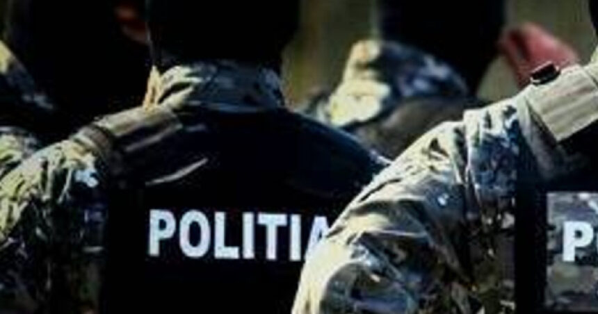 perchezitii ale politistilor timisoreni in 7 judete intr un dosar de evaziune fiscala cu un prejudiciu de 3 milioane de lei 6853afa83bf07