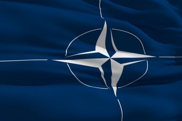 peste 70 dintre romani au incredere in nato iar peste 60 in uniunea europeana votantii carui partid sunt cei mai sceptici sondaj 685a74d7cac53