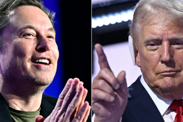 posibila reconciliere in relatia donald trump elon musk cu ce propunere au venit consilierii de la casa alba 684296af99fb2