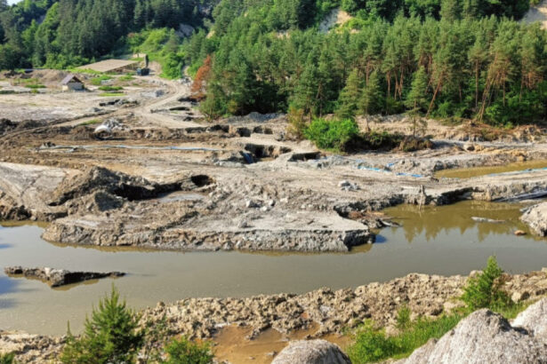 prefectul judetului mures toata lumea vorbeste de praid dar efectele din zona tarnavei sunt mult mai mari 6855765831b70