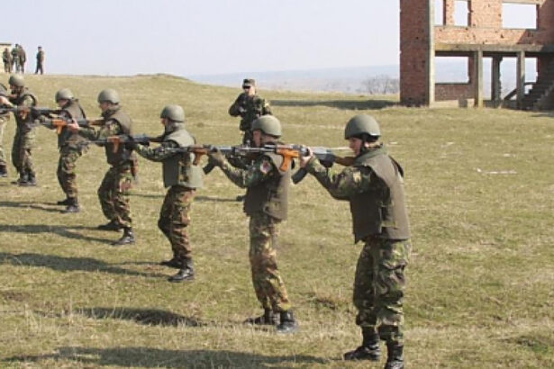 regele spaniei si presedintele romaniei sunt asteptati la centrul de instruire intrunita de la cincu care gazduieste exercitii nato 6847bd0d48277