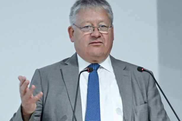 seful serviciului secret german rusia si ar putea trimite omuletii verzi intr o tara nato ucraina nu e decat o etapa 6847f7a22d235