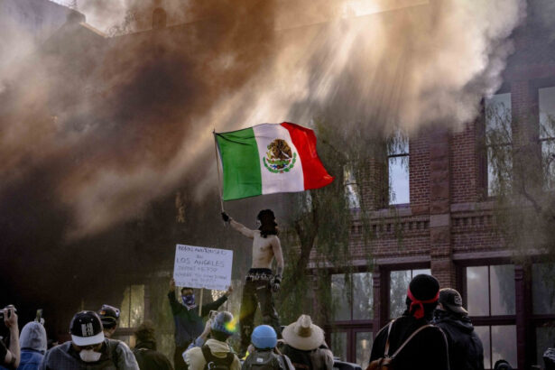 simbolul protestelor din los angeles care a starnit furia republicanilor este absolut nebunesc 684a57d8e0077