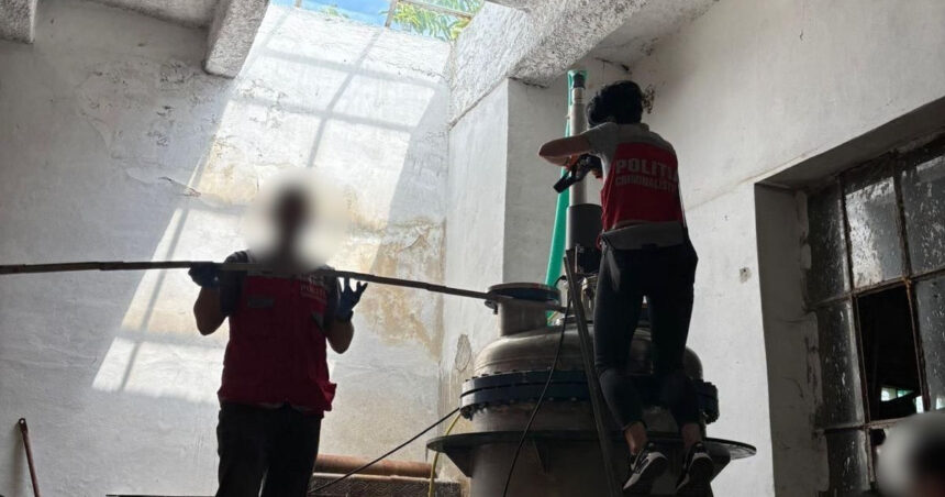 unul dintre cele mai mari laboratoare de droguri sintetice din romania descoperit intr un depozit din brasov ce au gasit anchetatorii 6856d5eb1a560