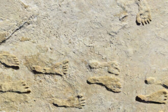 urmele de pasi care schimba istoria americii ce au descoperit cercetatorii in white sands 686212572c299