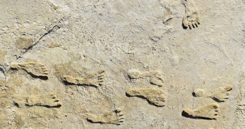 urmele de pasi care schimba istoria americii ce au descoperit cercetatorii in white sands 686212572c299