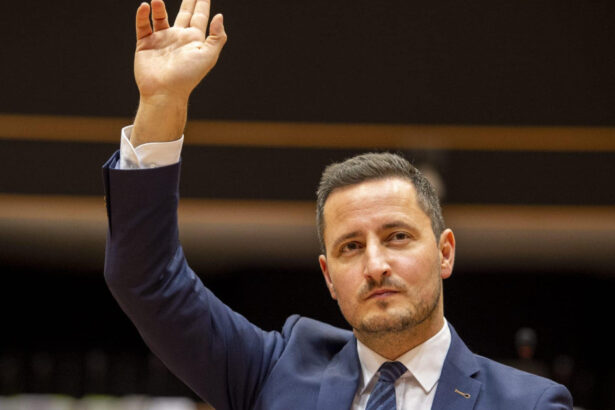 vicepresedintele parlamentului european nicu stefanuta conduce delegatia pe la budapest pride dragostea nu poate fi interzisa 685e930164f26