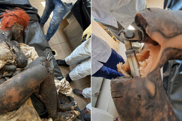 video alerta falsa la ploiesti o papusa de plastic a fost transportata la inml dupa ce a fost confundata cu cadavrul unei femei 685ac10304b5a