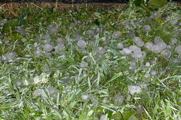 video grindina a facut prapad in localitatile afectate de codul rosu de furtuni culturi agricole si gradini distruse 6840692157c7d