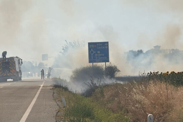 video incendiu puternic de vegetatie la maglavit in dolj pe o suprafata de 70 80 hectare traficul rutier a fost deviat 685d68b2af46d