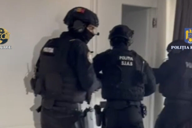 video retea internationala de droguri pe dark net destructurata peste 600 000 de utilizatori ce probe au fost ridicate din romania 68512e22970ba