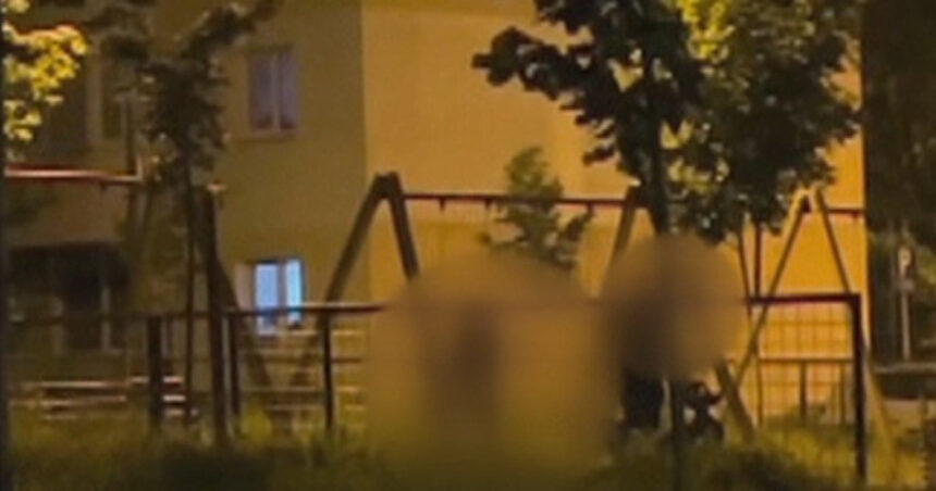video scene socante intr un parc din brasov femeie batuta de sot in timp ce copilul plange in leagan agresorul a fost retinut 68465db532e98