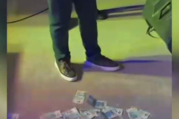 video un primar psd arunca cu bani la o petrecere cu manele de zilele comunei 30 de milioane de la mine pentru voi tata a a fara numar 68518c670ac5d