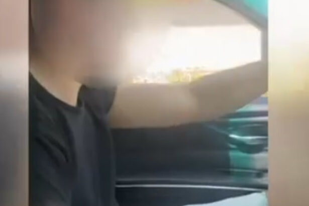 video un viitor politist din teleorman a lovit un pieton apoi s a filmat in timp ce conducea masina cu parbrizul spart si cantand manele 6845792f7ef03