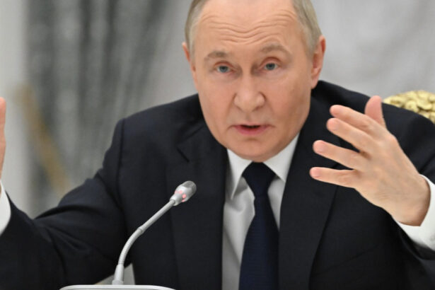 vladimir putin afirma ca regimul ilegitim de la kiev s a transformat intr o organizatie terorista 68409ff10b016