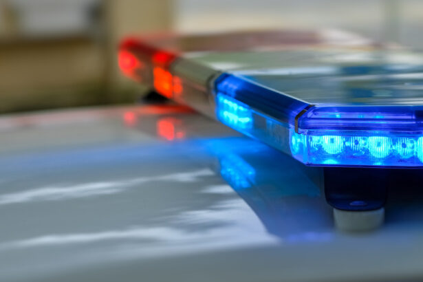 zeci de stampile si sute de matrite cu insemne oficiale descoperite la suspecti de camatarie si fals in cluj trei barbati retinuti 6842bec33d2ef