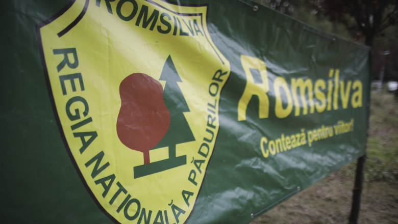 diana buzoianu vrea reducerea numarului de directori si a sporurilor la romsilva e prioritatea zero a mandatului meu 68654082a8d84