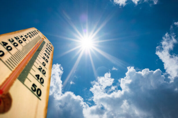 discutii la bruxelles privind schimbarile climatice in plin val de canicula europeana cu ce propuneri vin oficialii ue 6864d11b35f5b