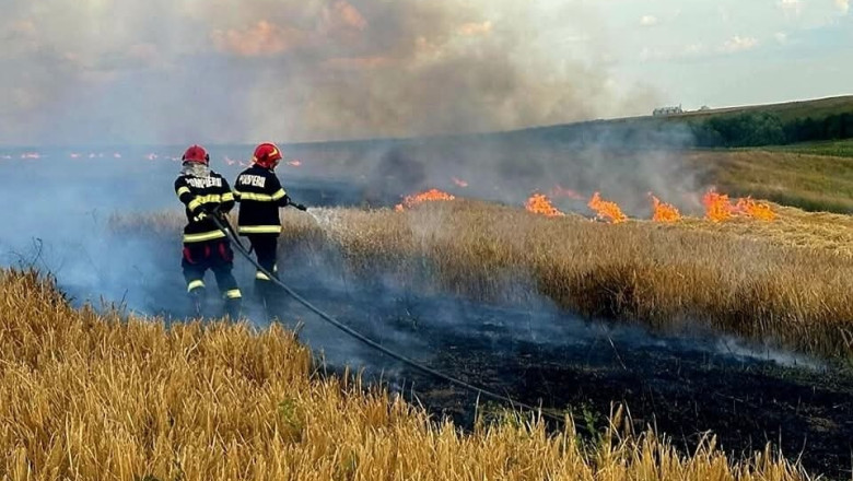 foto incendiile au facut prapad in arges sute de pomi fructiferi 4 autovehicule si mai multe anexe gospodaresti au ars 6886f6775c954
